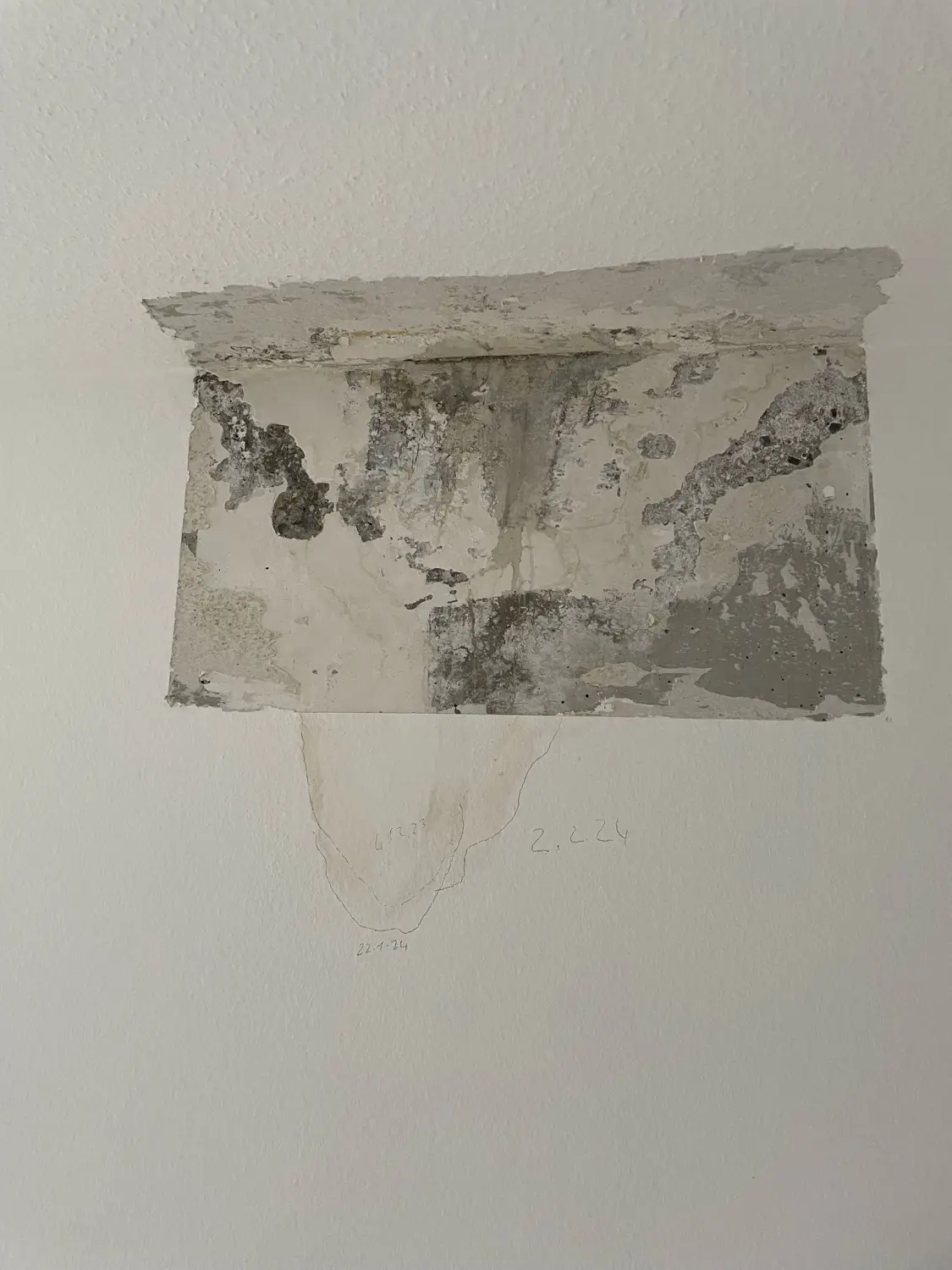 Tapezierarbeiten von Bauservice Yesilöz